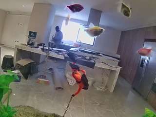 voyeurcam-casa-s... Live Webcam on CamSoda