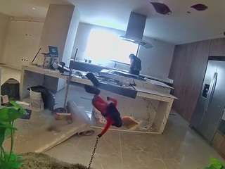 voyeurcam-casa-s... Live Webcam on CamSoda