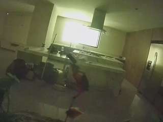 voyeurcam-casa-salsa-fishtank