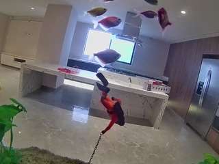 voyeurcam-casa-salsa-fishtank