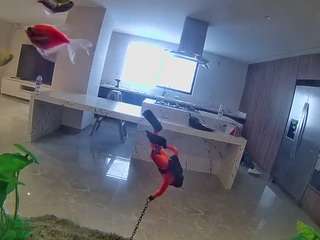 voyeurcam-casa-salsa-fishtank