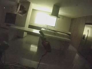 voyeurcam-casa-salsa-fishtank