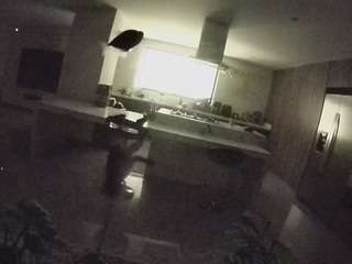 voyeurcam-casa-salsa-fishtank
