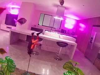 voyeurcam-casa-salsa-fishtank