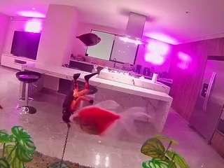 voyeurcam-casa-salsa-fishtank