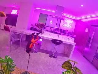 voyeurcam-casa-salsa-fishtank