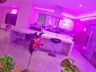 voyeurcam-casa-salsa-fishtank