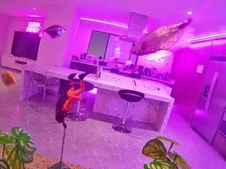 voyeurcam-casa-salsa-fishtank