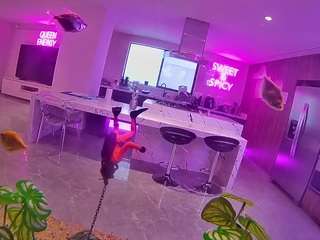 voyeurcam-casa-salsa-fishtank