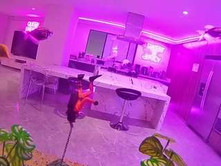 voyeurcam-casa-salsa-fishtank