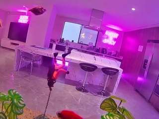 voyeurcam-casa-salsa-fishtank