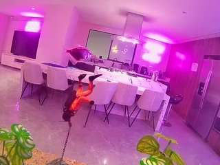 voyeurcam-casa-salsa-fishtank