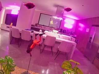 voyeurcam-casa-salsa-fishtank