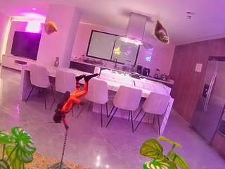 voyeurcam-casa-salsa-fishtank