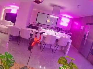 voyeurcam-casa-salsa-fishtank