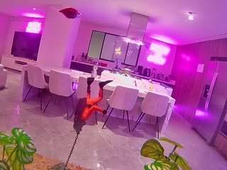 voyeurcam casa salsa fishtank