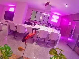 voyeurcam casa salsa fishtank