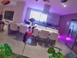 voyeurcam casa salsa fishtank