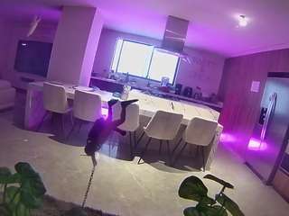 voyeurcam-casa-salsa-fishtank