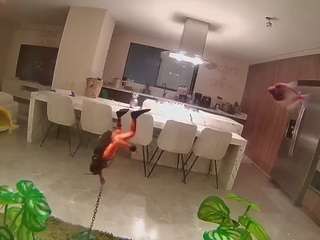 voyeurcam-casa-salsa-fishtank