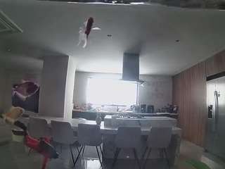 voyeurcam-casa-salsa-fishtank