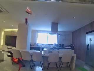 voyeurcam casa salsa fishtank