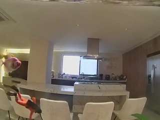 voyeurcam-casa-salsa-fishtank Live Webcam on CamSoda