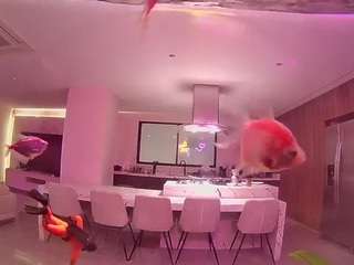 voyeurcam-casa-salsa-fishtank