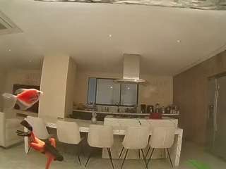 voyeurcam-casa-salsa-fishtank