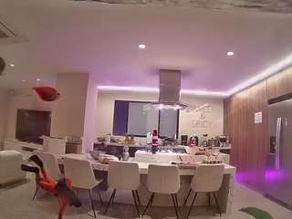 voyeurcam-casa-salsa-fishtank