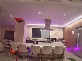 voyeurcam casa salsa fishtank live webcam on Soda Cams