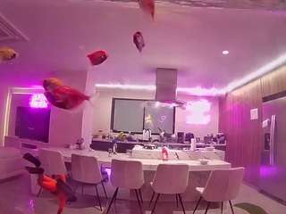 voyeurcam-casa-salsa-fishtank 1 live webcam