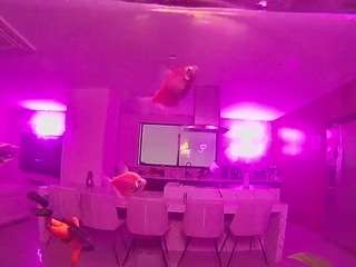 voyeurcam-casa-salsa-fishtank