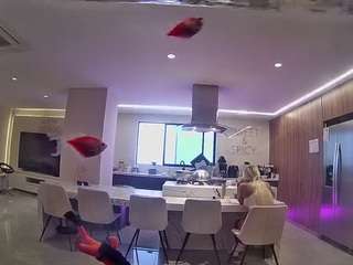 voyeurcam-casa-salsa-fishtank webcam