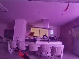 voyeurcam-casa-salsa-fishtank webcam