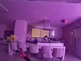 voyeurcam-casa-salsa-fishtank webcam