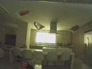 voyeurcam casa salsa fishtank