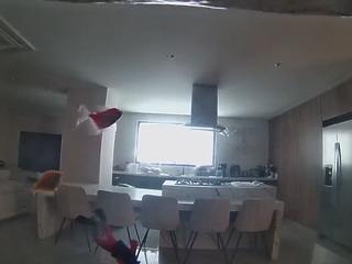 voyeurcam-casa-salsa-fishtank webcam