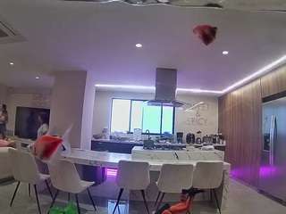 voyeurcam-casa-salsa-fishtank