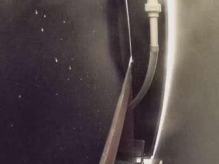 voyeurcam-casa-salsa-fishtank webcam