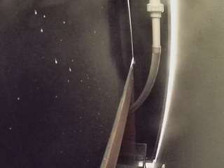 voyeurcam-casa-salsa-fishtank