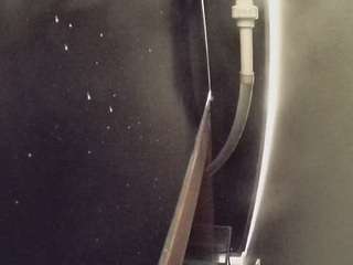 voyeurcam-casa-salsa-fishtank