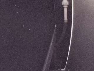 voyeurcam-casa-salsa-fishtank