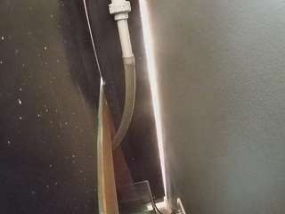 voyeurcam-casa-salsa-fishtank