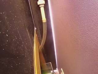 voyeurcam-casa-salsa-fishtank