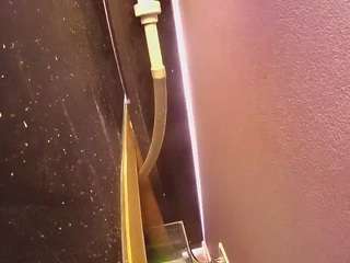 voyeurcam-casa-salsa-fishtank