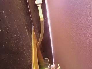 voyeurcam-casa-salsa-fishtank