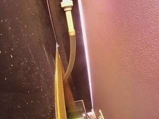 voyeurcam-casa-salsa-fishtank