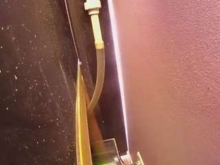 voyeurcam-casa-salsa-fishtank