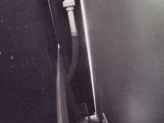 voyeurcam-casa-salsa-fishtank